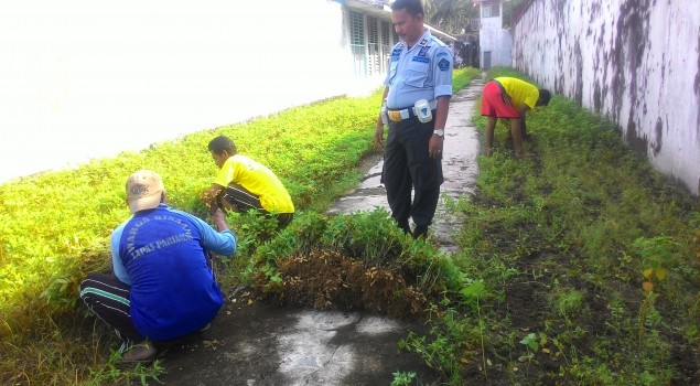 Lapas Pariaman Sukses Memanen 35 Kg Kacang Tanah