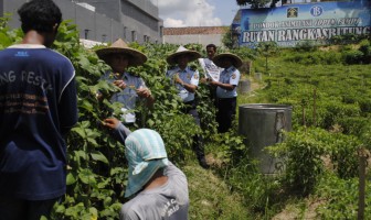 Pondok Asimilasi Rutan Rangkasbitung Panen Raya 3 Jenis Komoditas Perkebunan