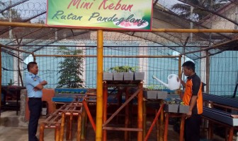 Rutan Pandeglang Sulap Gudang Menjadi Kebun Buah dan Sayuran
