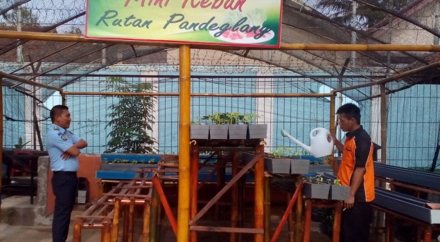 Rutan Pandeglang Sulap Gudang Menjadi Kebun Buah dan Sayuran