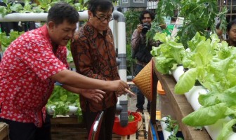 Festival Napi Berkebun, Napi Berguna Karena Dibina