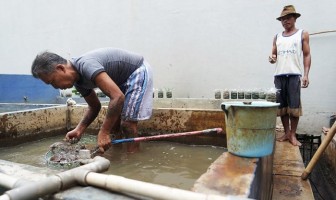 Berdayakan Napi, Lapas Pemuda Tangerang Sukses Budidayakan Lele