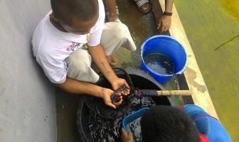 ABH LPKA Kutoarjo Sebar 5.000 Benih Lele Sangkuriang