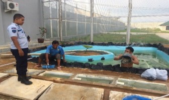 Percantik Lapas, WBP Banjarbaru Bangun Kolam