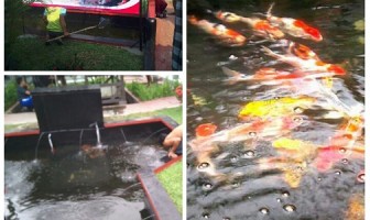 Rutan Rangkasbitung Panen Budidaya 3 Ikan Hias Sekaligus