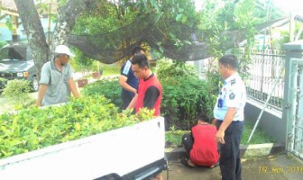 Siap Go Green, Lapas Ciamis Siapkan 2.000 Bibit Tanaman