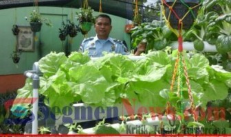 Mantap, Lapas Rohul Kembangkan Tanaman Hidroponik