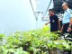 Lapas Sukabumi Hadiahi Pemkot Sukabumi Seribu Pohon