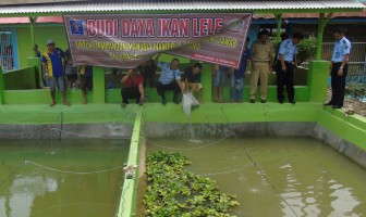 Lapas Bandar Lampung Budidaya 4000 Lele Sangkuriang