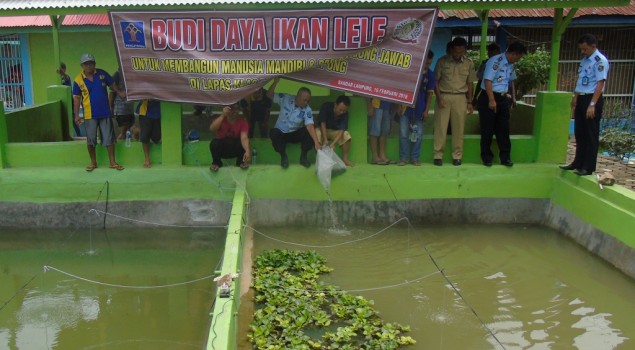 Lapas Bandar Lampung Budidaya 4000 Lele Sangkuriang