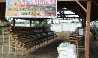 Rutan Pasangkayu Ciptakan Usaha Peternakan Ayam Petelur