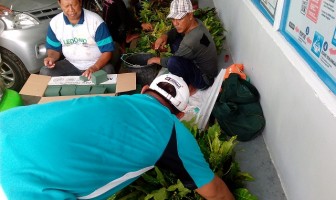 Teknologi Aspak, Metode Pembibitan Tanaman Baru di Rutan Pinrang