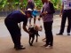 Perangi Narkoba, Kunjungan di Lapas Dilengkapi Anjing Pelacak