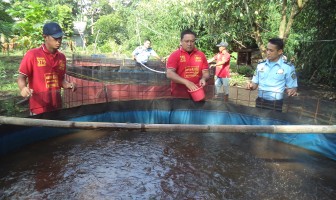 WBP Lapas Narkotika Lubuklinggau Budidaya Lele Kolam Terpal