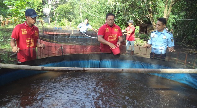 WBP Lapas Narkotika Lubuklinggau Budidaya Lele Kolam Terpal