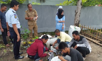 Bapas Polewali Kembangkan Kebun Vertikal
