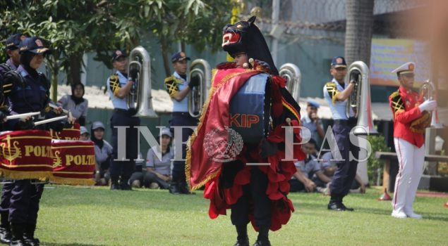 Macan Lodaya, Icon Baru Marching Band POLTEKIP