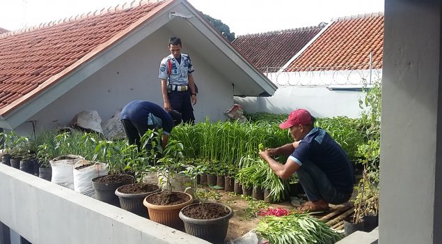 Kangkung Rutan Garut Diminati Pengunjung Rutan