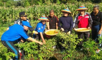 LPKA Tomohon Panen Sayur dan Palawija