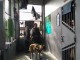 Sidak di Lapas Narkotika Sungguminasa Kerahkan Anjing Pelacak