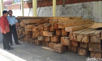 Di Bengkulu, Seribu Ikat Rotan Barang Sitaan Dibiarkan Lapuk