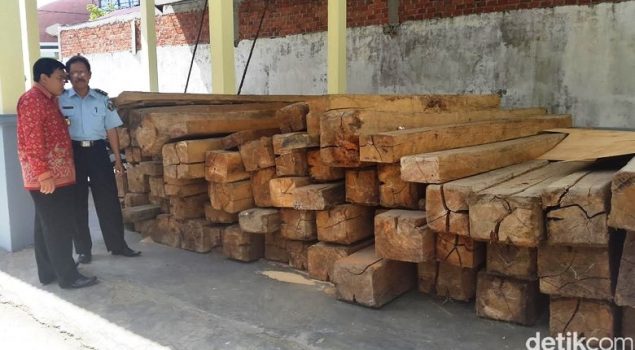 Di Bengkulu, Seribu Ikat Rotan Barang Sitaan Dibiarkan Lapuk