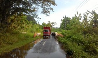 Rayuan Gombal di Nusakambangan, Uang, Alphard, Macan Tutul