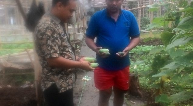 Panen Perdana, Sayur Hasil Pertanian Lapas Sukamiskin Banjir Pesanan