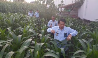 Di Sulawesi Utara, Direktur Pelayanan Tahanan DitjenPAS Blusukan Masuk Ladang