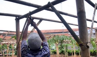 Lapas Sukamiskin Mulai Budidayakan Tanaman Kaboca