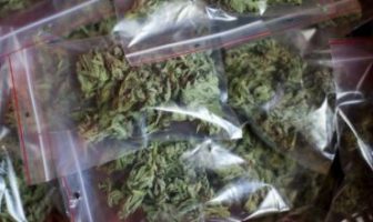 Satgas P2U Rutan Makassar Kembali Gagalkan Penyelundupan Ganja