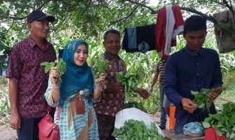 Panen Raya Rutan Jantho Hasilkan 8 Ton Jagung
