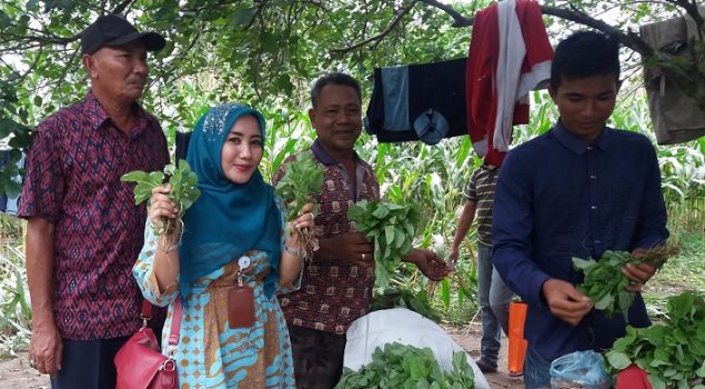 Panen Raya Rutan Jantho Hasilkan 8 Ton Jagung