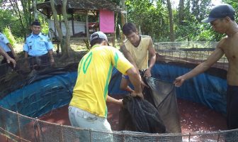 Panen Lele di Lapas Narkotika Lubuklinggau Capai 250 Kg