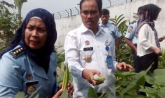Kakanwil Kemenkumham Banten Tinjau Kebun Okra dan Jahe Merah Lapas Serang