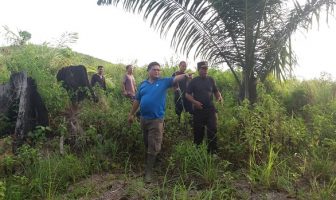 Perkebunan Lapas Nunukan Berpotensi Jadi Lokasi Agrowisata
