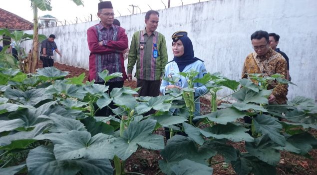 Kalapas Serang Jelaskan Tanaman Okra Kepada Dirjen PAS