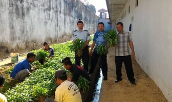 Panen Perdana Sayur Kangkung Rutan Kendari