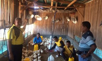 Ternak Lapas Kupang Dikirim Hingga Perbatasan Timor Leste