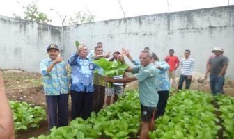 Lapas Tual Panen Perdana Kebun Sayur