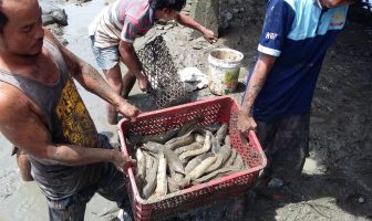 Panen Lele di Lapas Palopo Capai 196 Kg