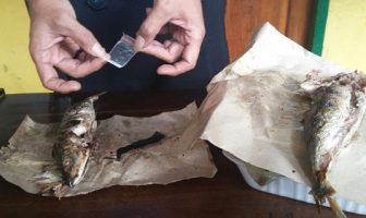 Gagalkan Narkoba, P2U Rutan Rutan Kendari Diusulkan Penghargaan