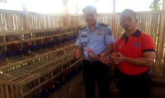 Baru Dimulai, Peternakan Ayam Lapas Banjar Hasilkan 100 telur Setiap Hari