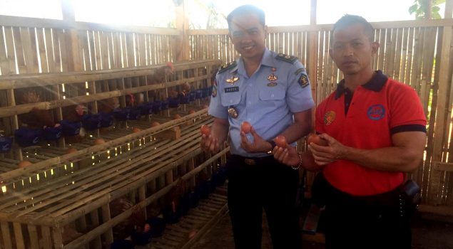 Baru Dimulai, Peternakan Ayam Lapas Banjar Hasilkan 100 telur Setiap Hari