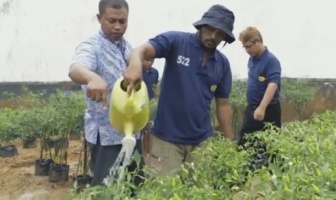 Program Napi Berkebun