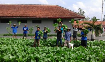 Rutan Wonosari Panen 6,5 Kuintal Sawi
