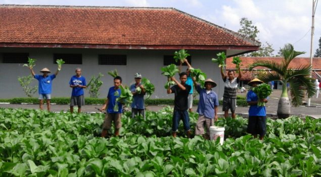 Rutan Wonosari Panen 6,5 Kuintal Sawi