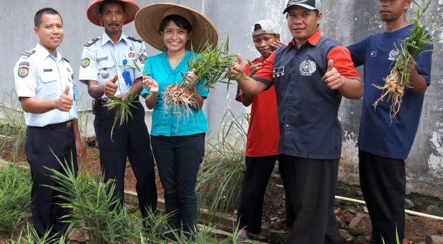 Jahe Merah Lapas Serang Diminati Yayasan Second Chance