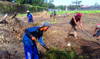 Lapas Piru Manfaatkan Lahan Tidur Untuk Pertanian
