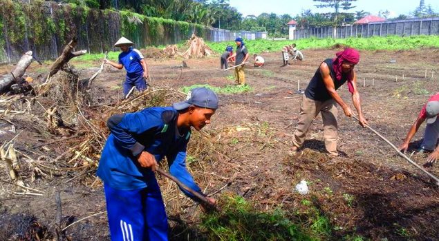 Lapas Piru Manfaatkan Lahan Tidur Untuk Pertanian